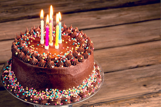 Sprinkle Cake with Double Fudge Icing